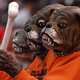 Illustration for article titled Entirety Of Browns Dawg Pound Euthanized Following Rabies Outbreakem/em